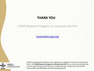 Experience with value chain benchmarking tools 