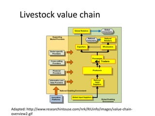 Innovation strategies for integrating gender into a livestock value chain