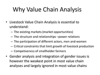 Innovation strategies for integrating gender into a livestock value chain