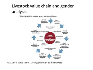 Innovation strategies for integrating gender into a livestock value chain