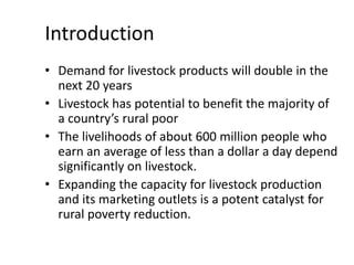 Innovation strategies for integrating gender into a livestock value chain