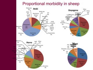 Safe Food, Fair Food