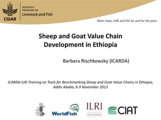 Sheep and Goat Value Chain
Sheep and Goatin Ethiopia
Development Value Chain
Development in Ethiopia
Barbara Rischkowsky (ICARDA)

ICARDA-ILRI Training on Tools for Benchmarking Sheep and Goat Value Chains in Ethiopia,
Addis Ababa, 6-9 November 2013

 