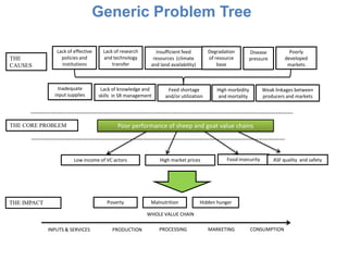 Sheep and Goat Value Chain Development in Ethiopia | PPTX