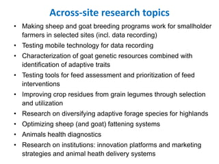 Sheep and Goat Value Chain Development in Ethiopia