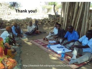 Sheep and Goat Value Chain Development in Ethiopia