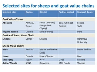 Sheep and Goat Value Chain Development in Ethiopia