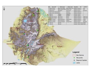 Sheep and Goat Value Chain Development in Ethiopia
