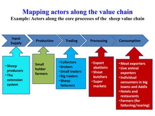 Sheep and goat value chains development in Ethiopia: Basic concepts of value chain analysis