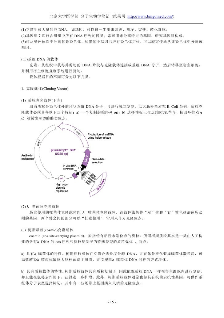 北京大学医学部分子生物学学习笔记 北京大学医学部分子生物学学习笔记