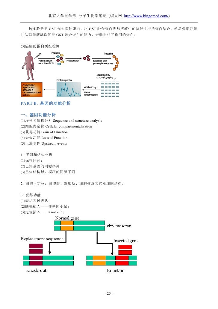 北京大学医学部分子生物学学习笔记 北京大学医学部分子生物学学习笔记
