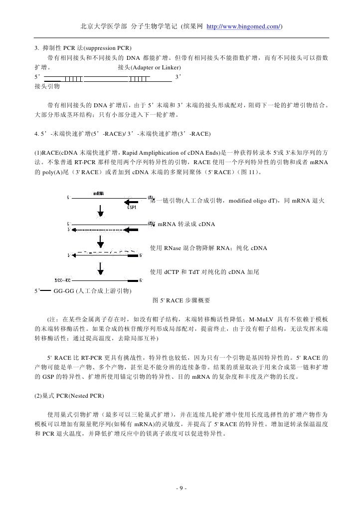 北京大学医学部分子生物学学习笔记