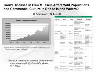 R. Smolowitz, D. Leavitt
Could Diseases in Blue Mussels Affect Wild Populations
and Commercial Culture in Rhode Island Waters?
Figure 1: Recent worldwide increases in aquaculture production of blue
mussel (Source: FAO FishStat )
Table 1: A summary of common diseases noted
in the blue mussel Mytilus edulis. (From:
FAO 2004)
 