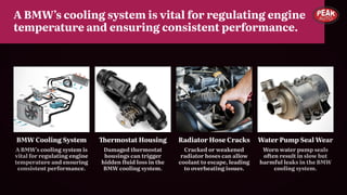 BMW Cooling System Leaks Explained Prevent Costly Damage with Expert