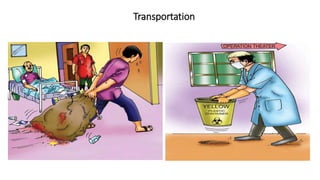 Transportation
 