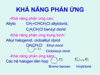 KHẢ NĂNG PHẢN ỨNG 
-Khả năng phản ứng cao: 
Allylic CH2=CHCH2Cl allylclorid, 
C6H5CH2Cl benzyl clorid 
-Khả năng phản ứng trung bình: 
Alkyl halogenid, cicloalkyl clorid 
CH3CH2Cl Ethyl clorid 
Ciclohexyl clorid 
-Khả năng phản ứng kém: 
Các hệ halogen liên hợp 
Bromo benzen Vinylclorid 
Cl 
Cl CH2 CH Cl 
 