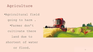 www.loremipsum
.com
12
Agriculture
•Agricultural field
going to harm .
•Farmer don’t
cultivate there
land due to
shortest of water
or flood.
 