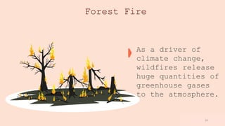 www.loremipsum
.com
Forest Fire
As a driver of
climate change,
wildfires release
huge quantities of
greenhouse gases
to the atmosphere.
16
 