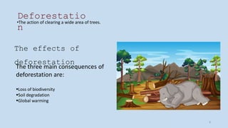 www.loremipsum
.com
Deforestatio
n
•The action of clearing a wide area of trees.
The effects of
deforestation
The three main consequences of
deforestation are:
Loss of biodiversity
Soil degradation
Global warming
8
 