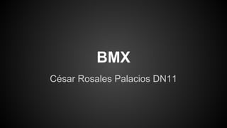 BMX 
César Rosales Palacios DN11 
 