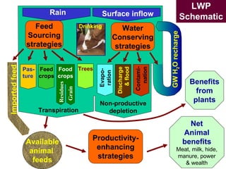 Livestock water productivity and its implications for developing countries: harnessing WP in crop-livestock systems of SSA