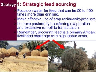 Livestock water productivity and its implications for developing countries: harnessing WP in crop-livestock systems of SSA