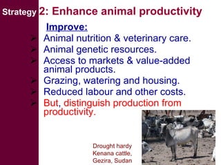 Livestock water productivity and its implications for developing countries: harnessing WP in crop-livestock systems of SSA
