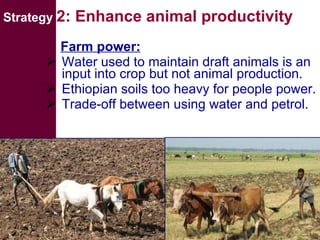 Livestock water productivity and its implications for developing countries: harnessing WP in crop-livestock systems of SSA