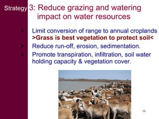 Livestock water productivity and its implications for developing countries: harnessing WP in crop-livestock systems of SSA