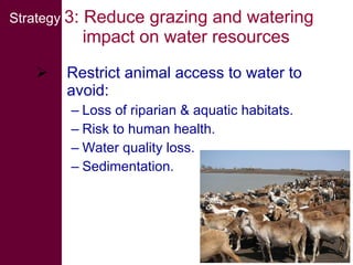 Livestock water productivity and its implications for developing countries: harnessing WP in crop-livestock systems of SSA