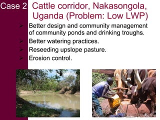 Livestock water productivity and its implications for developing countries: harnessing WP in crop-livestock systems of SSA
