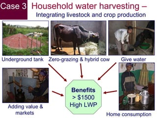 Livestock water productivity and its implications for developing countries: harnessing WP in crop-livestock systems of SSA