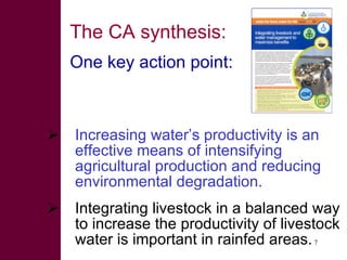 Livestock water productivity and its implications for developing countries: harnessing WP in crop-livestock systems of SSA