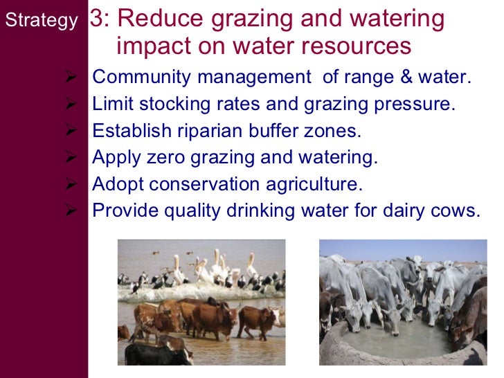 Livestock water productivity and its implications for developing coun…