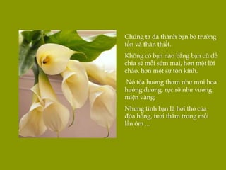 Chúng ta đã thành bạn bè trường
tồn và thân thiết.
Không có bạn nào bằng bạn cũ để
chia sẻ mỗi sớm mai, hơn một lời
chào, hơn một sự tôn kính.
Nó tỏa hương thơm như mùi hoa
hướng dương, rực rỡ như vương
miện vàng;
Nhưng tình bạn là hơi thở của
đóa hồng, tươi thắm trong mỗi
lần ôm ...
 