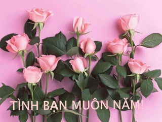 Thế Nào Là Tình Bạn?