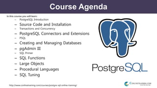 http://www.conlinetraining.com/courses/postgre-sql-online-training/
Course Agenda
In this course you will learn:
– PostgreSQL Introduction
– Source Code and Installation
– Transactions and Concurrency
– PostgreSQL Connectors and Extensions
– PSQL
– Creating and Managing Databases
– pgAdmin III
– SQL Primer
– SQL Functions
– Large Objects
– Procedural Languages
– SQL Tuning
 