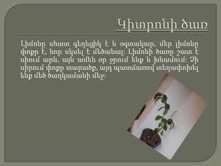 Կիտրոնի ծառ    Լիմոնը սհատ գեղեցիկ է և օգտակար, մեր լիմոնը փոքր է, նոր սկսել է մեծանալ: Լիմոնի ծառը շատ է սիում արև, այն ամեն օր ջրում ենք և խնամում: Չի սիրումփոքր տարածք, այդ պատճառով տեղափոխել ենք մեծ ծաղկամանի մեջ: