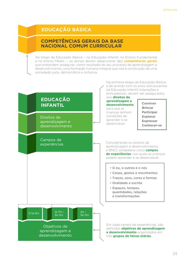 Bncc final estrutura | PDF