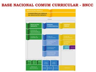 BASE NACIONAL COMUM CURRICULAR - BNCC
 