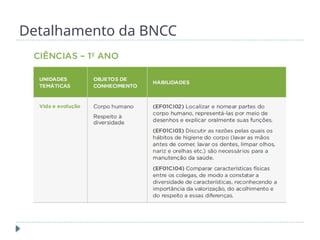 Detalhamento da BNCC
 