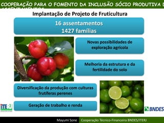 Mayumi Sone Cooperação Técnico-Financeira BNDES/ITERJ
Implantação de Projeto de Fruticultura
16 assentamentos
1427 famílias
Novas possibilidades de
exploração agrícola
Diversificação da produção com culturas
frutíferas perenes
Melhoria da estrutura e da
fertilidade do solo
Geração de trabalho e renda
COOPERAÇÃO PARA O FOMENTO DA INCLUSÃO SÓCIO PRODUTIVA D
ASSENTAMENTOS
 