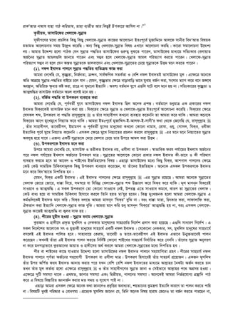  এহইয়াউস_সুনান