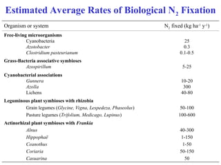 Comprehensive Overview of Nitrogen Fixation Processes and Mechanisms | PPT