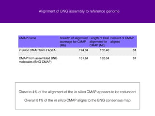 Alignment of BNG assembly to reference genome 
CMAP name Breadth of alignment 
coverage for CMAP 
(Mb) 
Length of total 
alignment for 
CMAP (Mb) 
Percent of CMAP 
aligned 
in silico CMAP from FASTA 124.04 132.40 81 
CMAP from assembled BNG 
molecules (BNG CMAP) 
131.64 132.34 67 
Close to 4% of the alignment of the in silico CMAP appears to be redundant 
! 
Overall 81% of the in silico CMAP aligns to the BNG consensus map 
 