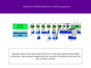 ChLG 9 super! 
Alignment of BNG assembly to reference genome 
scaffold 
BNG consensus 
maps 
ChLG 9! 
scaffolds 
130 131 133 134 132 129 135 127 136 137 BNG consensus 
Typically where redundant alignments occur two BNG consensus maps 
aligned suggesting they represent haplotypes although this has not been 
verified 
maps 
 