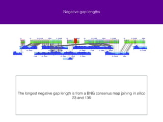 Gap lengths 
Distribution of gap lengths for automated output 
Gap length (bp) 
Of the automated stitch.pl Tribolium super-scaffolds there were 66 gaps had 
known lengths and 26 had negative lengths (set to 100 (bp)) 
! 
Of the manually edited Tribolium super-scaffolds there were 66 gaps had 
known lengths and 24 had negative lengths (set to 100 (bp)) 
Count 
−1500000 −1000000 −500000 0 500000 1000000 
0 5 10 15 20 
Negative gap lengths 
Positive gap lengths 
 