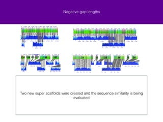 Negative gap lengths 
Is part of scaffold_23 connected to 136?! 
I went with the second alignment (21-26 together and 136-137 together because it is supported by genetic maps) but we should 
check these assemblies. ! ! In bottom alignment of 136 you can see that a large section of the BNG map 32 (which joins 23 to 136) is a duplicate in the BNG 
assembly? 
22 23 129 136 137 
! 
Because the same region of 136 aligns to another BNG consensus map that 
aligns to its chromosome linkage group this alignment was rejected and stitch 
was re-run 
 
