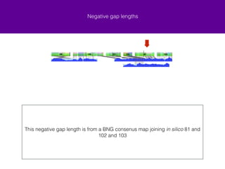 Gap lengths 
Distribution of gap lengths for automated output 
Gap length (bp) 
This negative alignment also indicated a potential assembly issue 
Count 
−1500000 −1000000 −500000 0 500000 1000000 
0 5 10 15 20 
Negative gap lengths 
Positive gap lengths 
 
