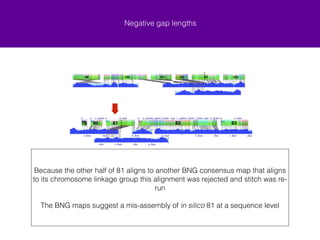Negative gap lengths 
This negative gap length is from a BNG consenus map joining in silico 81 and 
102 and 103 
Half of scaffold_81 aligns with ChLG7 
 